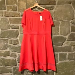 Lane Bryant Mesh Scuba Dress